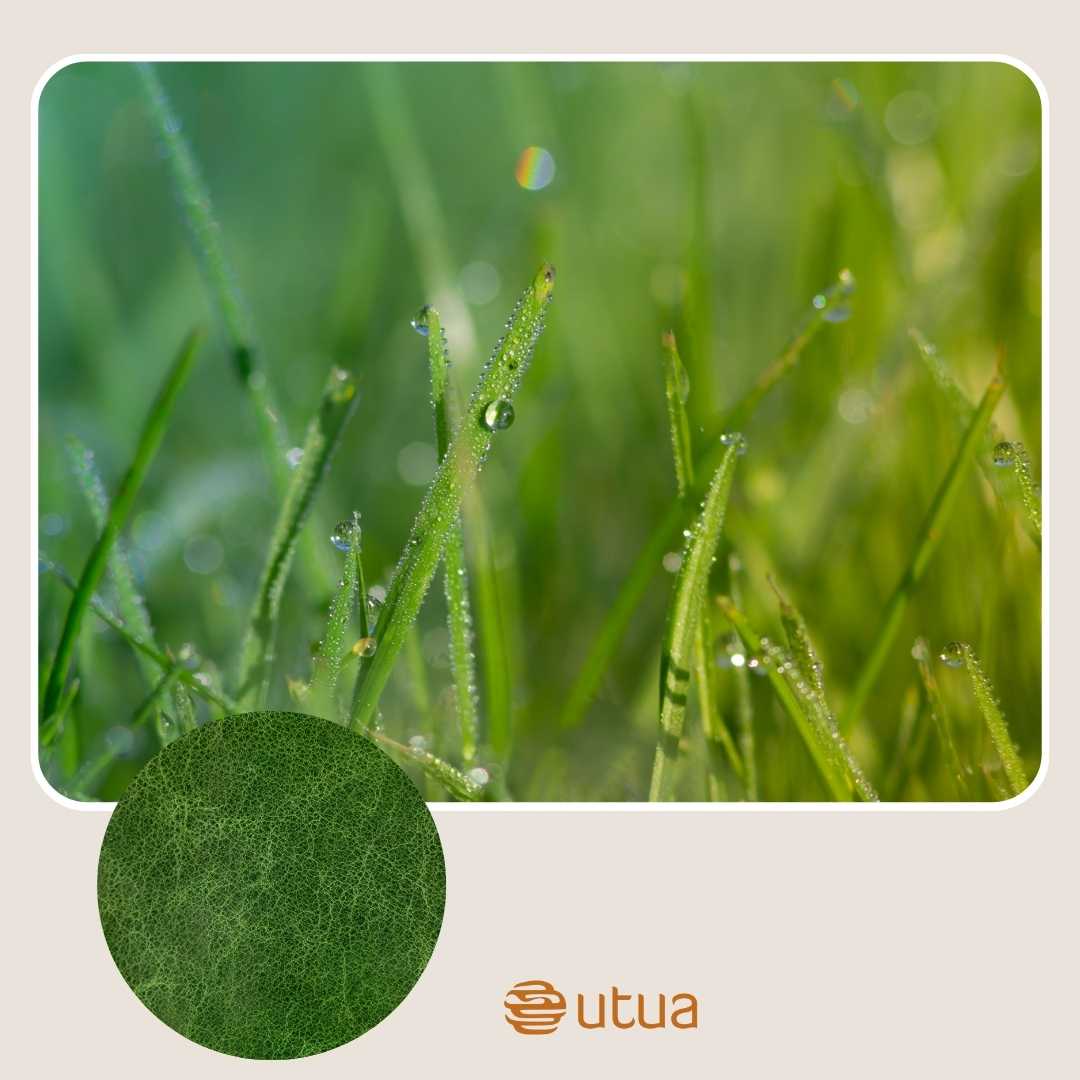 Vihreä on upea väri nahkalaukulle.